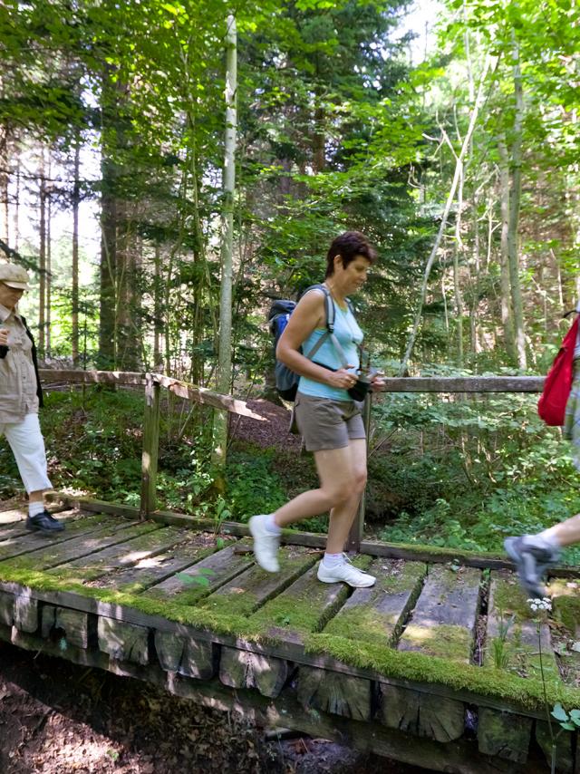 Randonnée à Vittel