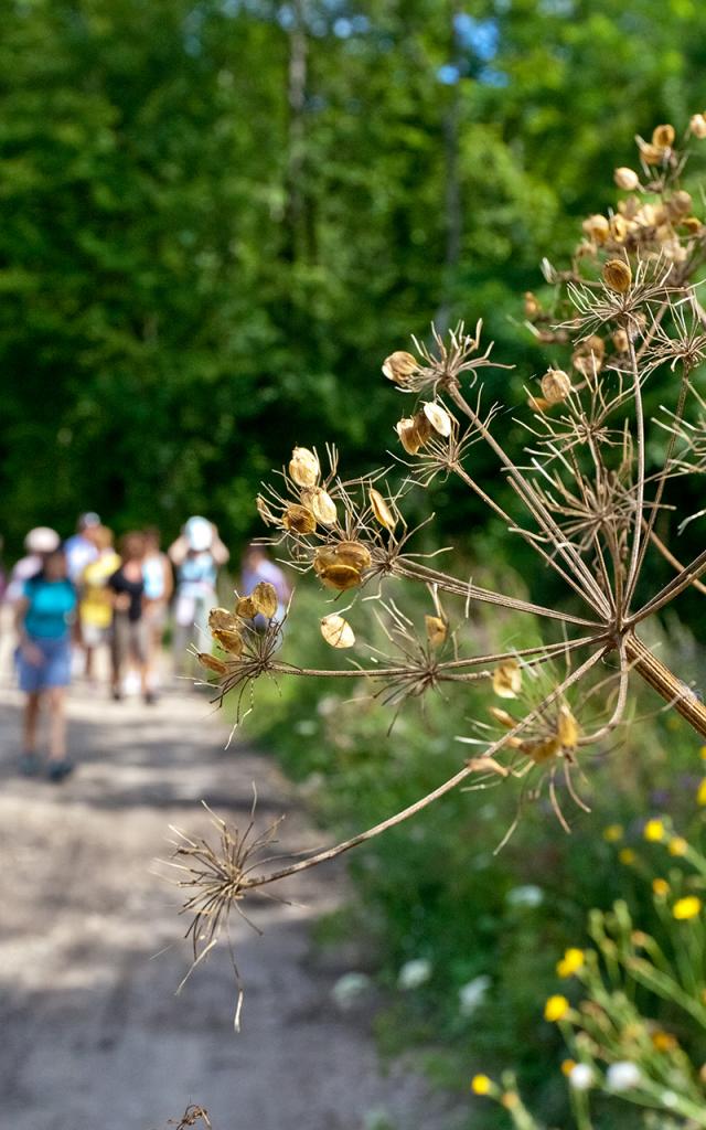 Randonnée à Vittel